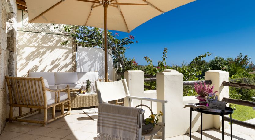 Photo of Vervain In Bloom