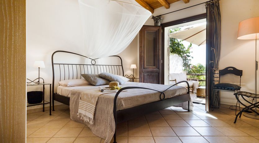 Photo of Vervain In Bloom