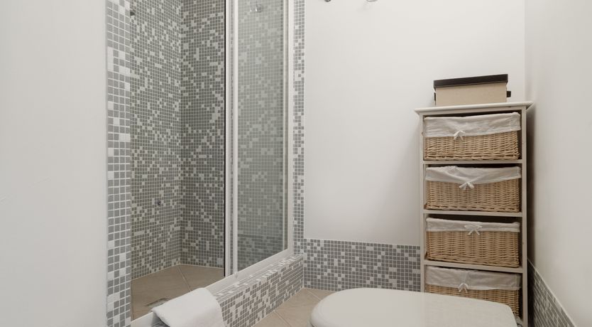 Photo of Vervain In Bloom