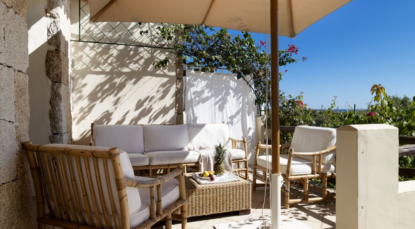 Photo of Vervain In Bloom