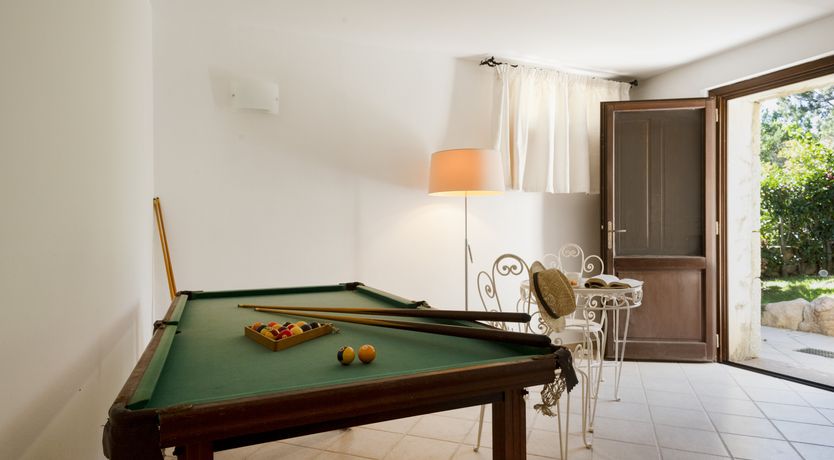 Photo of Vervain In Bloom