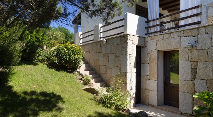 Photo of Vervain In Bloom