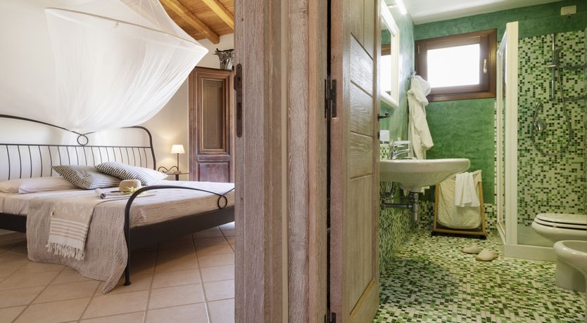 Photo of Vervain In Bloom