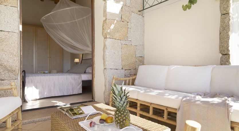 Photo of Vervain In Bloom