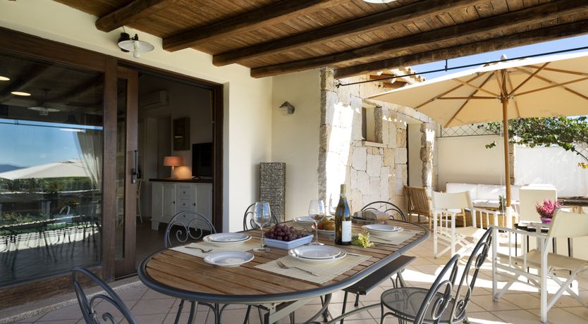 Photo of Vervain In Bloom