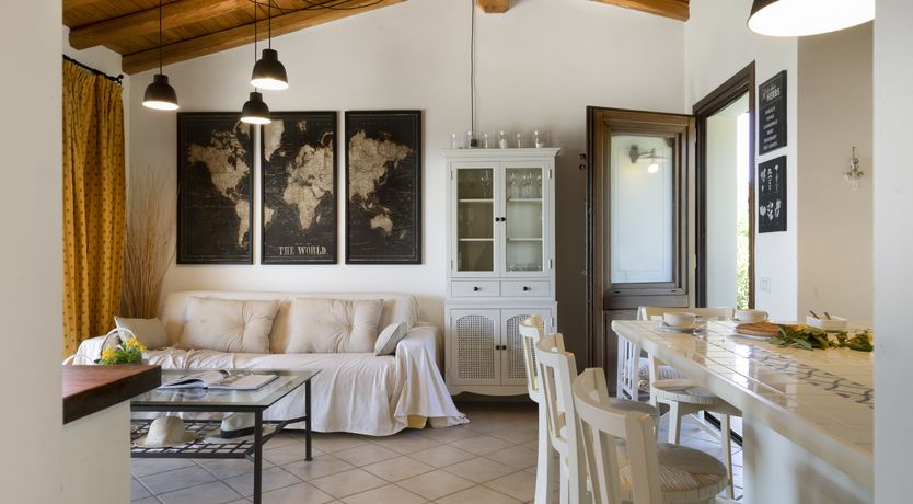 Photo of Vervain In Bloom