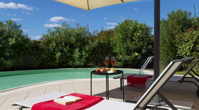 Photo of Vervain In Bloom