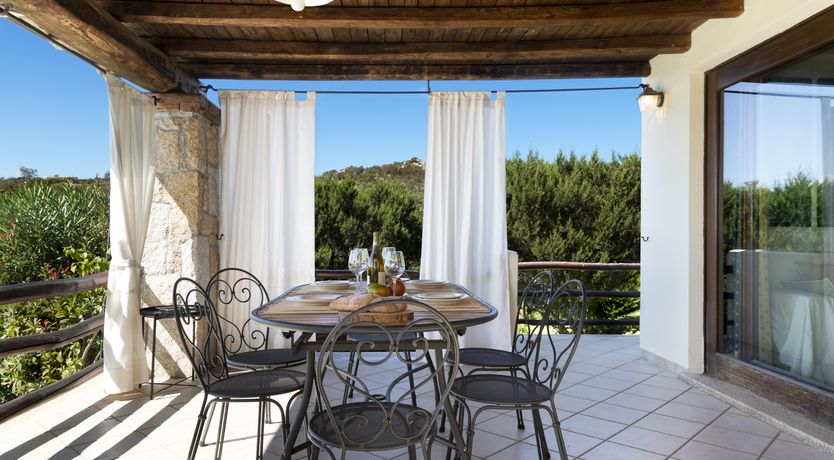 Photo of Vervain In Bloom