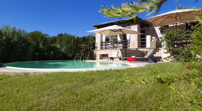 Photo of Vervain In Bloom