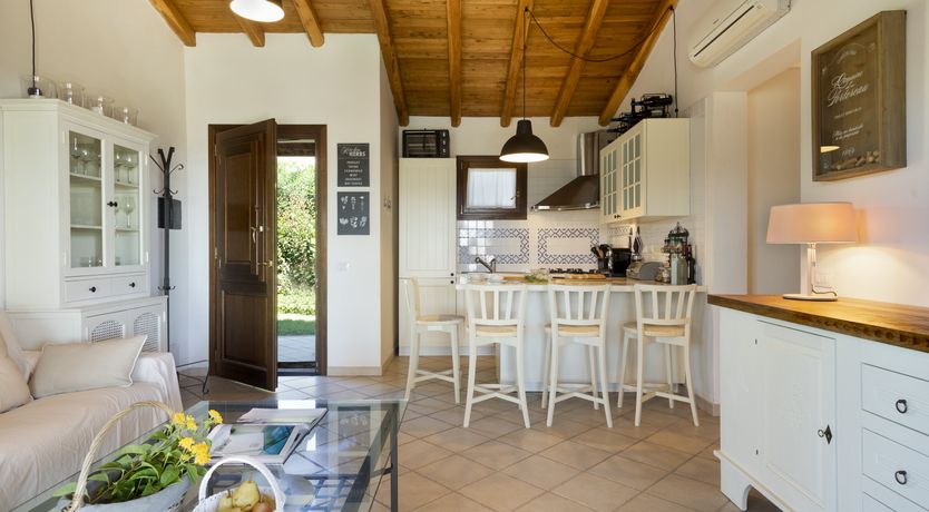 Photo of Vervain In Bloom