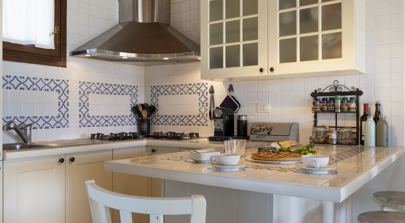 Photo of Vervain In Bloom