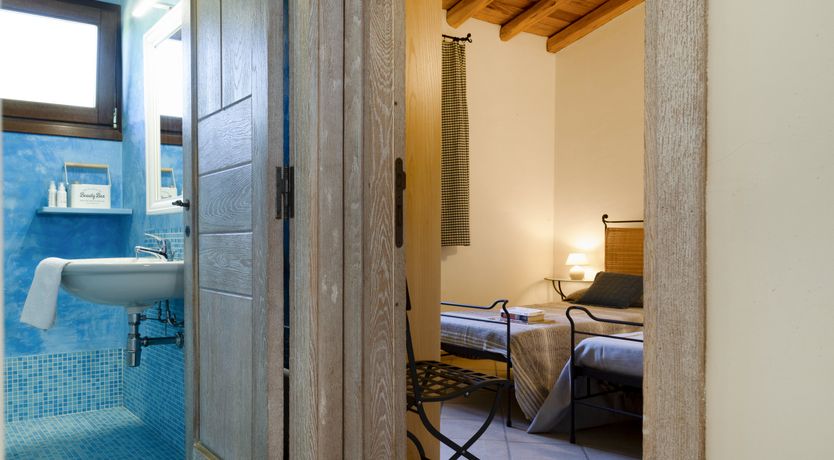 Photo of Vervain In Bloom