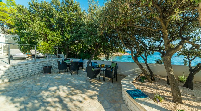 Photo of The Magnificent Mind