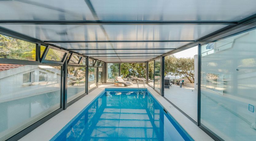 Photo of The Magnificent Mind