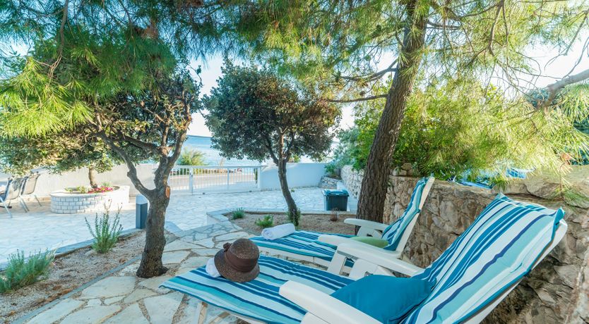 Photo of The Magnificent Mind