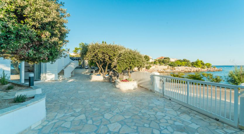 Photo of The Magnificent Mind