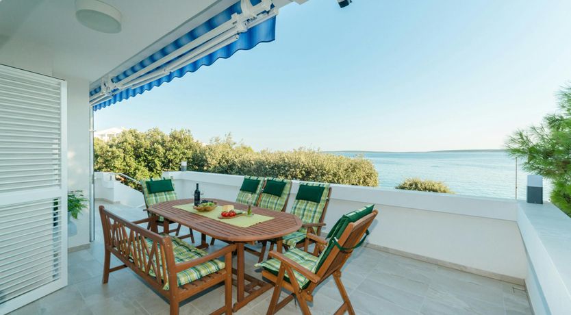 Photo of The Magnificent Mind