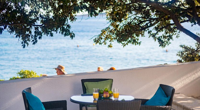 Photo of The Magnificent Mind