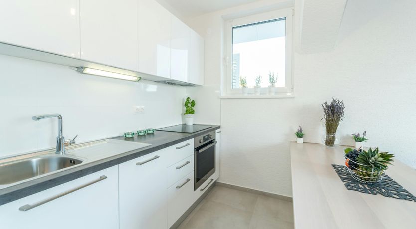 Photo of The Magnificent Mind