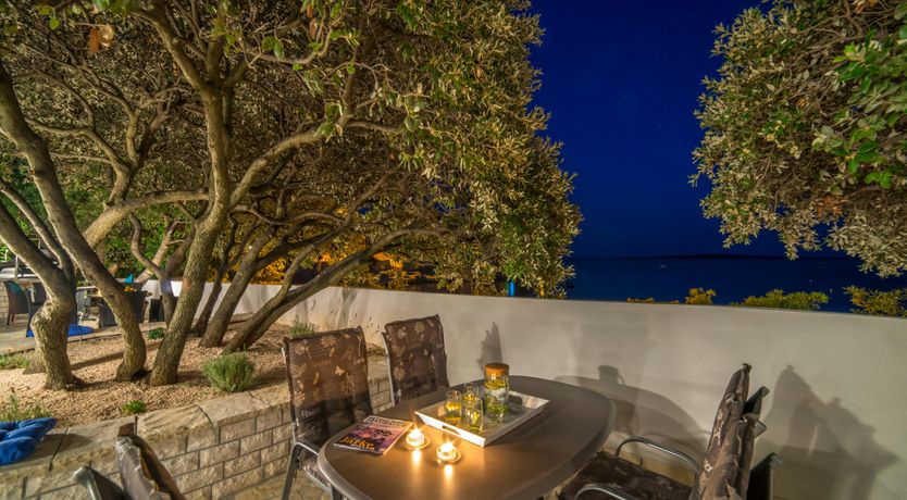 Photo of The Magnificent Mind