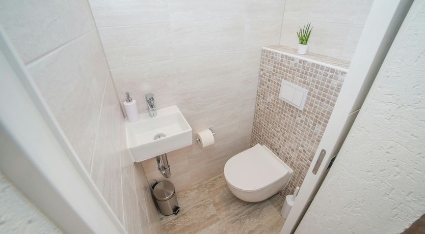 Photo of The Magnificent Mind