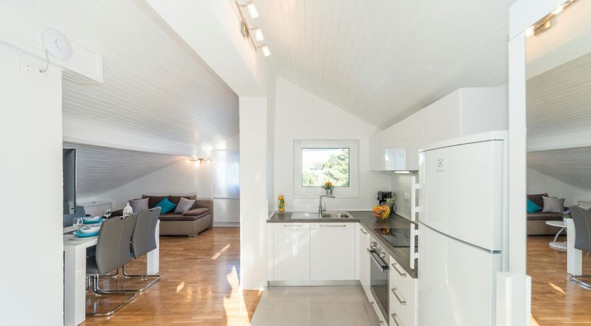 Photo of The Magnificent Mind