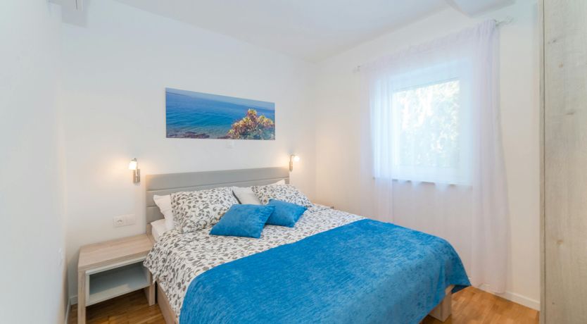 Photo of The Magnificent Mind