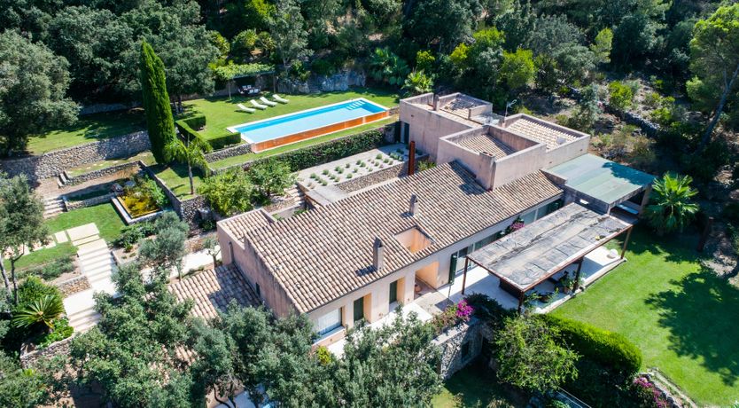 Photo of The Artist’s Dream