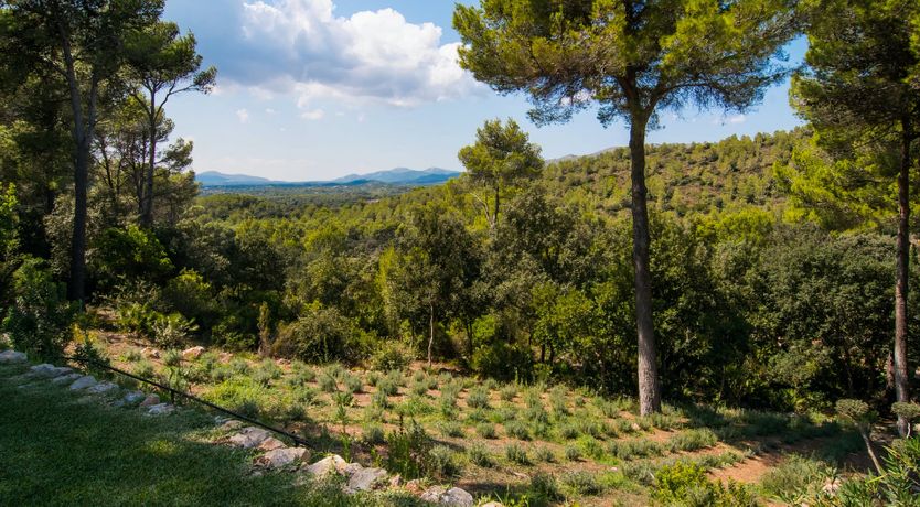 Photo of The Artist’s Dream