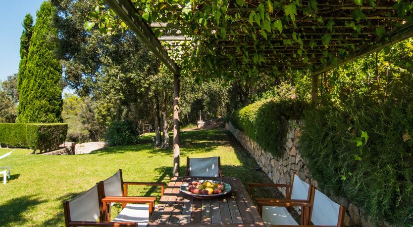 Photo of The Artist’s Dream