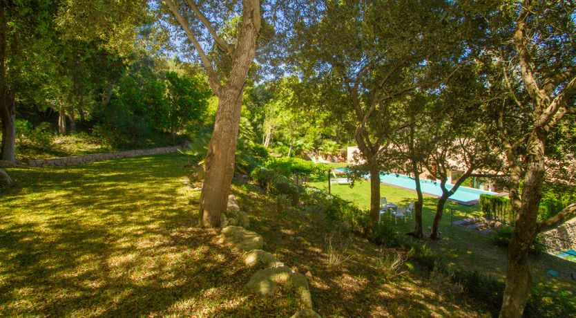 Photo of The Artist’s Dream