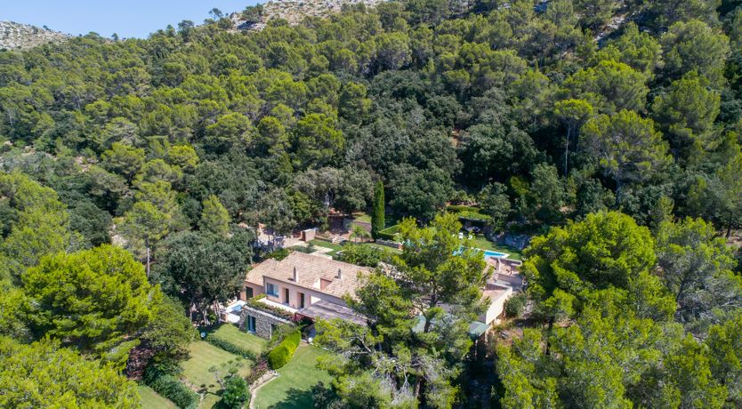 Photo of The Artist’s Dream