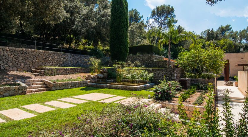 Photo of The Artist’s Dream