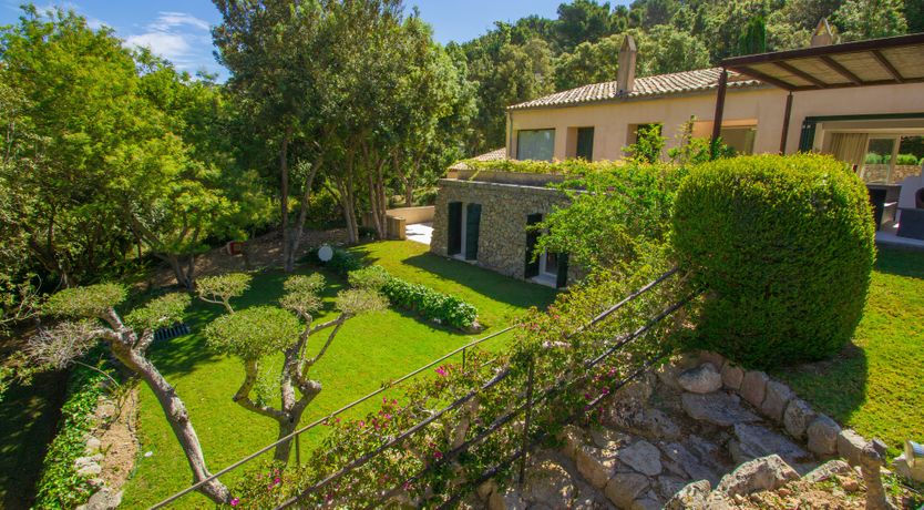 Photo of The Artist’s Dream