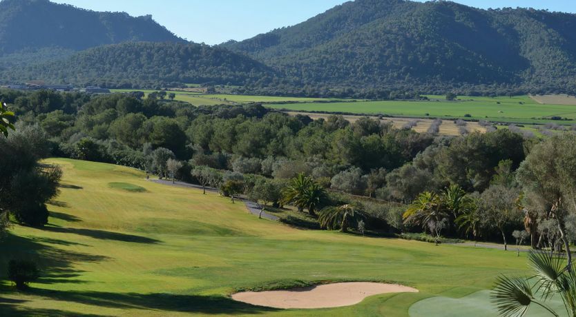 Photo of The Artist’s Dream