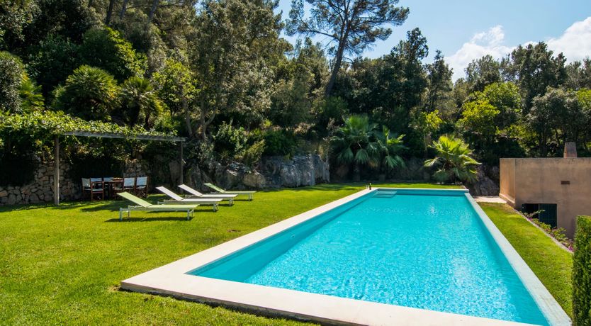 Photo of The Artist’s Dream