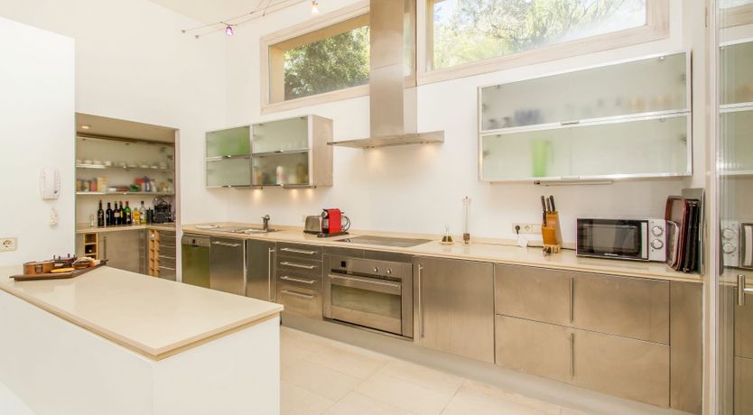 Photo of The Artist’s Dream