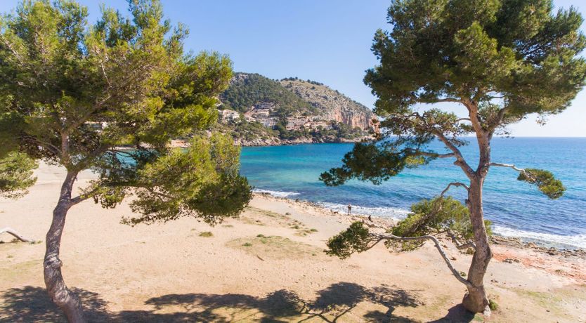 Photo of The Artist’s Dream