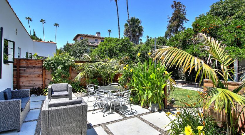 Photo of Cactus Flowers & Sunshine