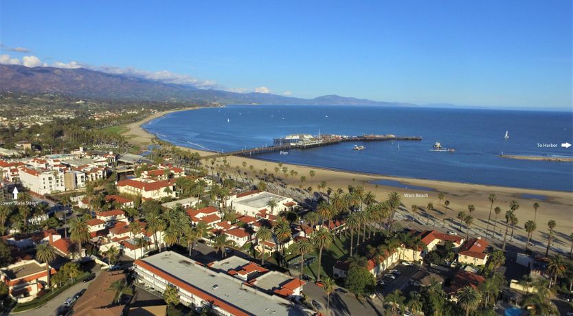 Photo of Cactus Flowers & Sunshine