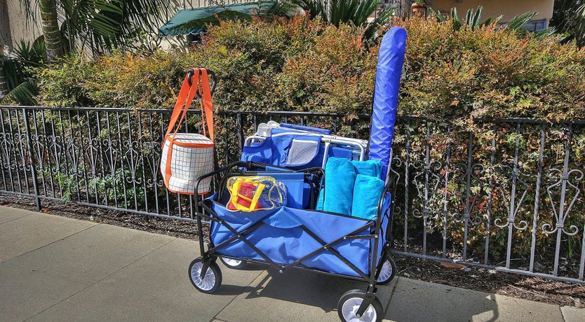 Photo of Cactus Flowers & Sunshine