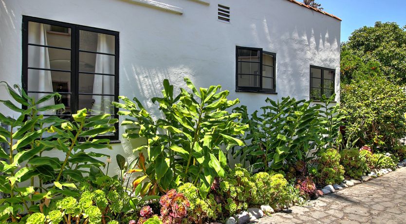 Photo of Cactus Flowers & Sunshine