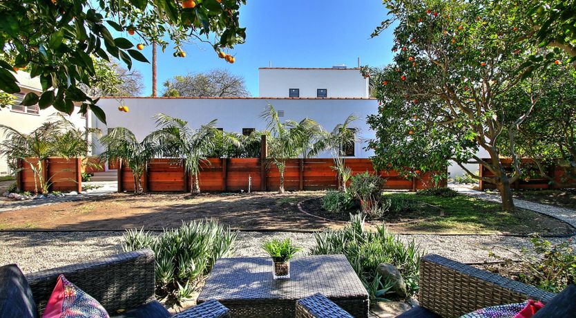 Photo of Cactus Flowers & Sunshine