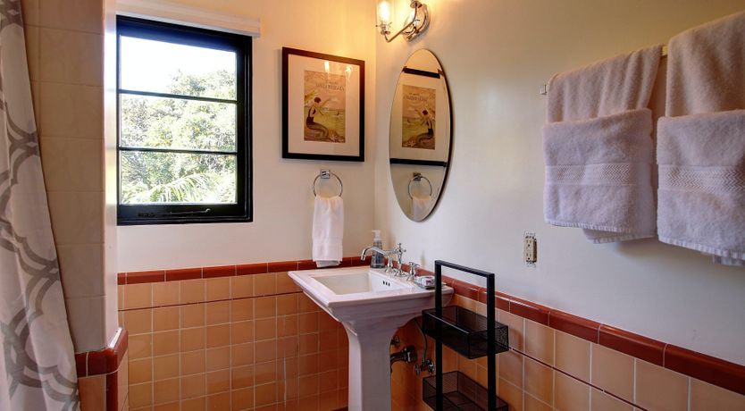 Photo of Cactus Flowers & Sunshine