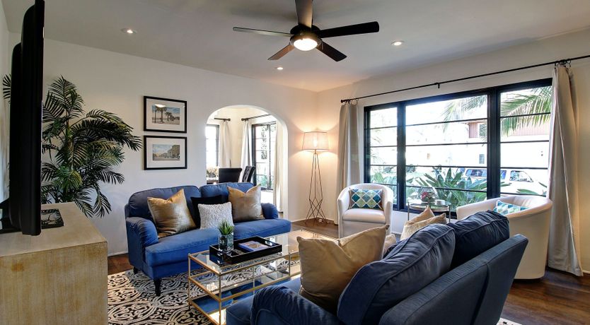 Photo of Cactus Flowers & Sunshine