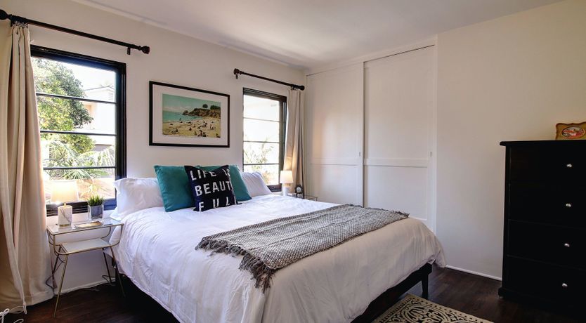 Photo of Cactus Flowers & Sunshine