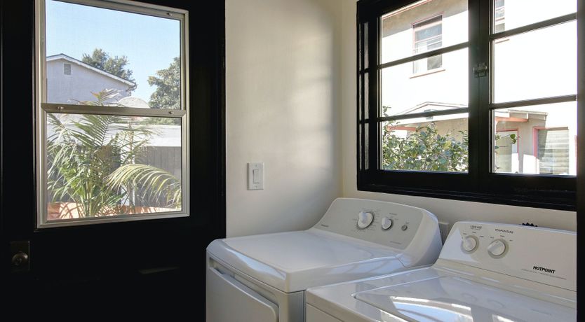 Photo of Cactus Flowers & Sunshine