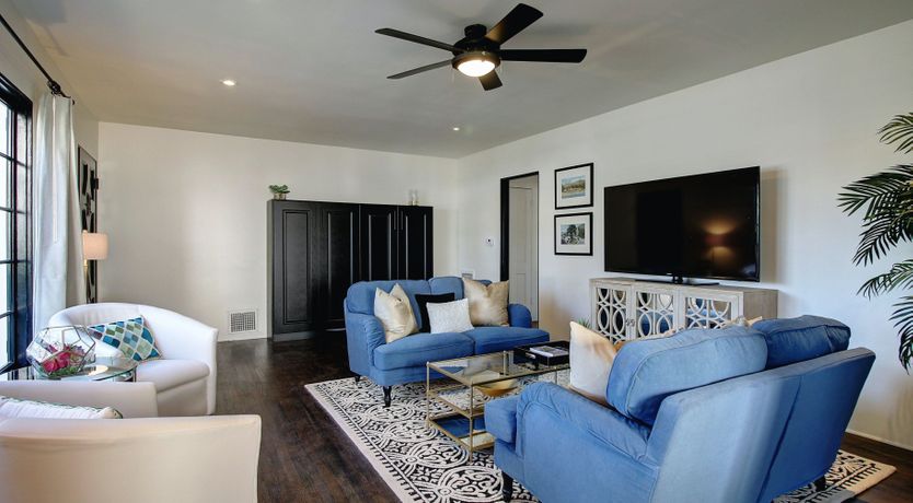 Photo of Cactus Flowers & Sunshine