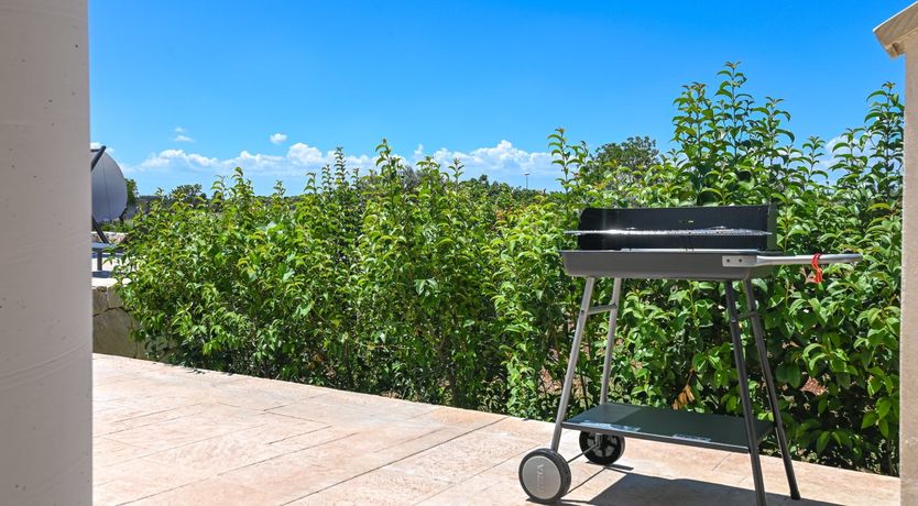 Photo of The Lion's Eye