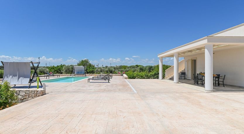 Photo of The Lion's Eye